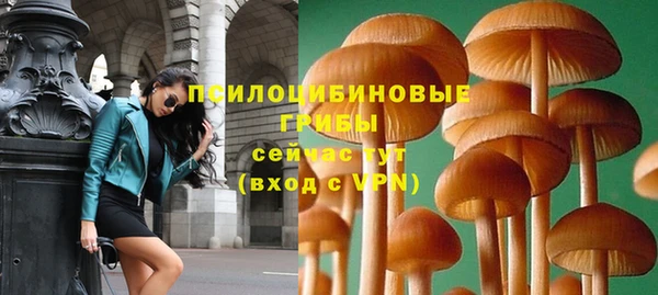 ешки Ростов